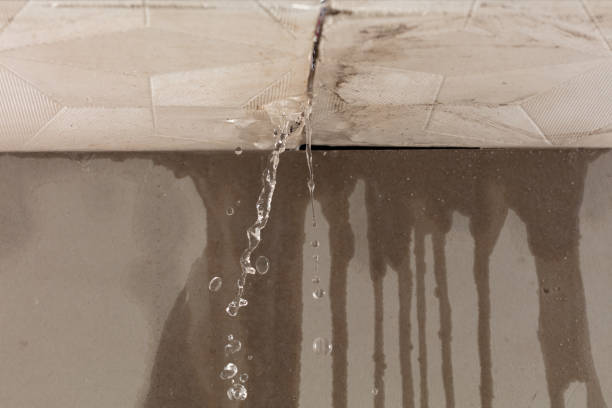 Professional Structural Drying technician working in Idlewild, MI